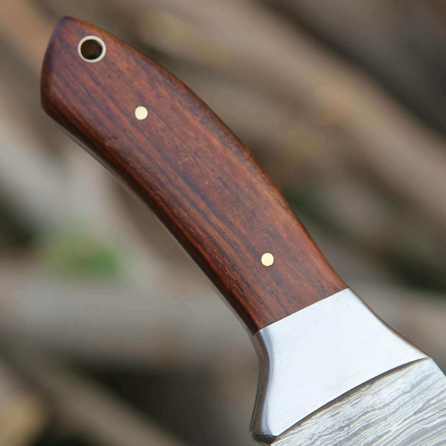 61JQJChuD7L._AC_SL1500_ Gut Hook Knife for Hunting