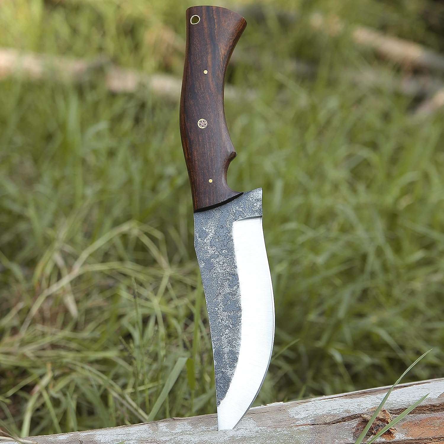 816udnRHuWL._AC_SL1500_ - Copy High Carbon Steel Bowie Knife