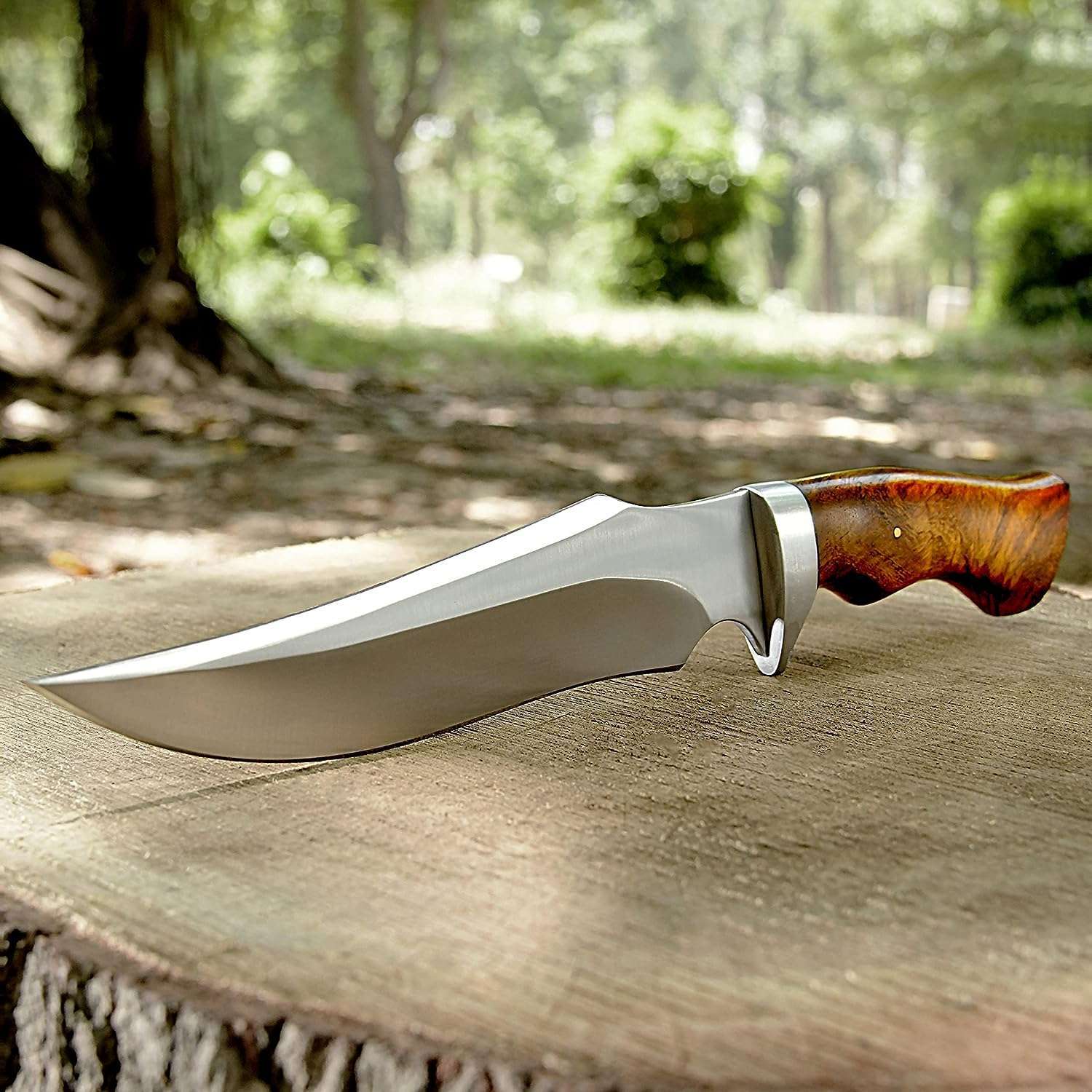 81S5yMBaloL._AC_SL1500_ Bowie Knife