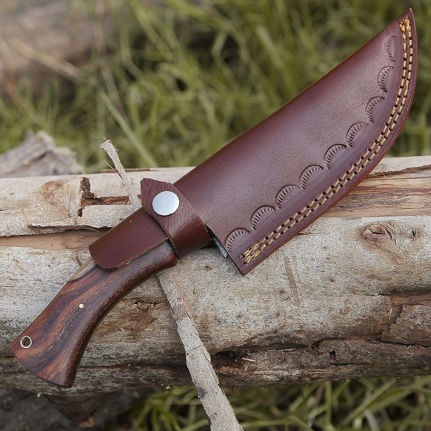 91lDMPuMh6L._AC_SL1500_ - Copy High Carbon Steel Bowie Knife