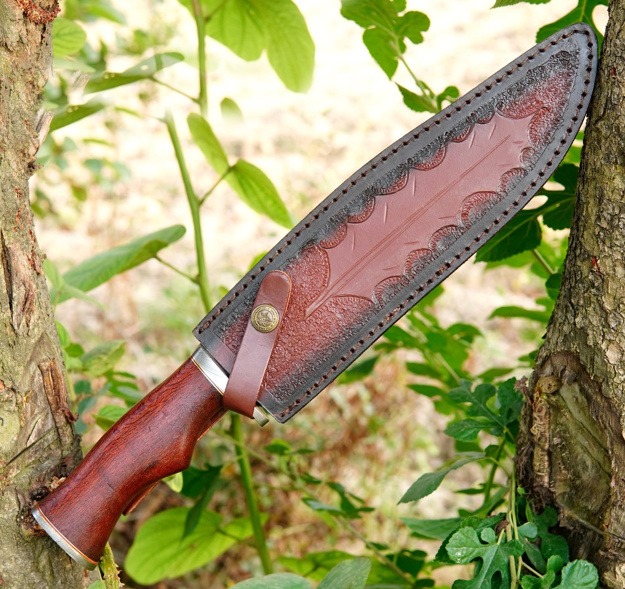 image_2